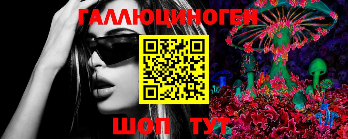 Родники  Галлюциногенные грибы Psilocybe  Вход с VPN 