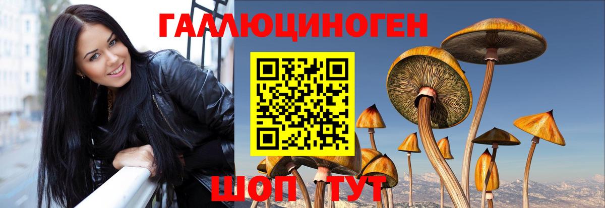 Псилоцибиновые грибы GOLDEN TEACHER Родники